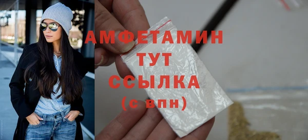 твердый Абаза