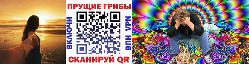 Псилоцибиновые грибы Psilocybe  купить наркоту  MEGA зеркало  Елец 